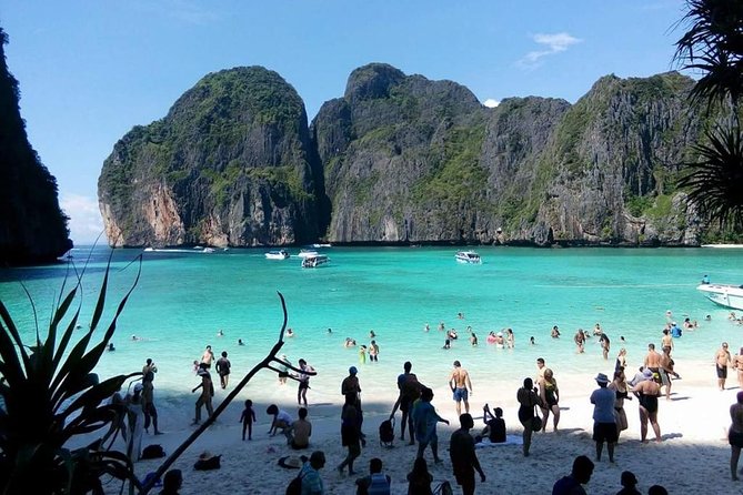 Full Day Tour of Phi Phi Island by Big Boat From Rassada Pier, Phuket (Sha Plus) - Important Tour Information