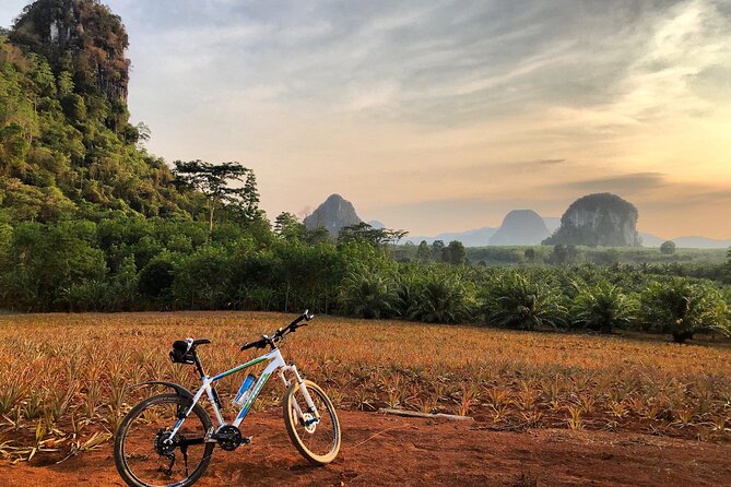 Guided Mountain Biking - Grand Tour - Trails of Ao Nang - Reviews From Fellow Travelers