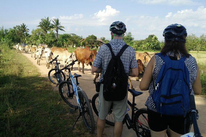 Half Day Cycling Tour to White Temple Review - Our Cycling Guide and Support