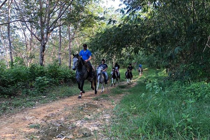 Horseback Riding 1 Hour Trail Review - What to Expect on Trail