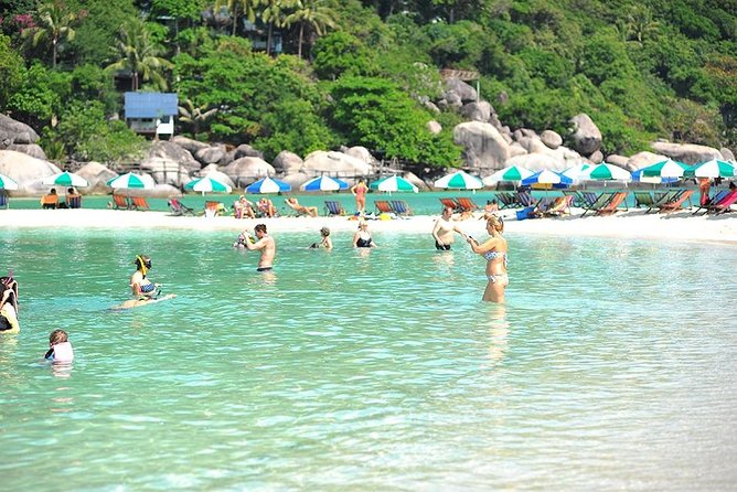 Koh Tao & Koh Nangyuan by Speed Boat (Snorkeling Trip From Koh Samui) - Cancellation and Refund Policy