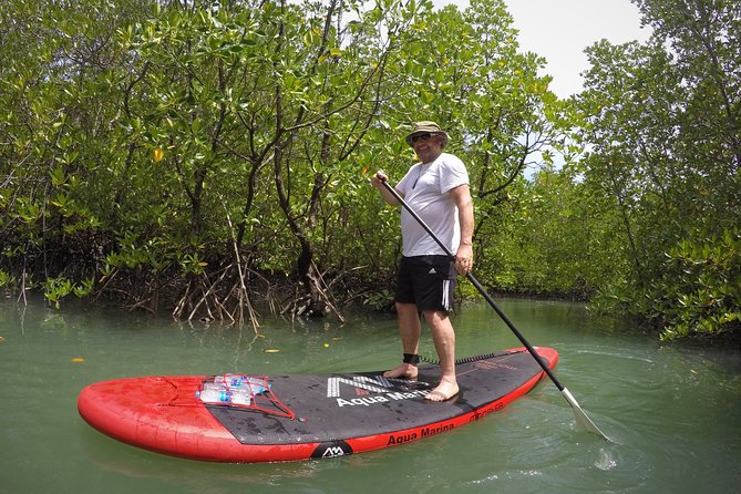 Mangroves SUP Tour Phuket Review: Paddling Through Paradise - Important Health and Safety Notes