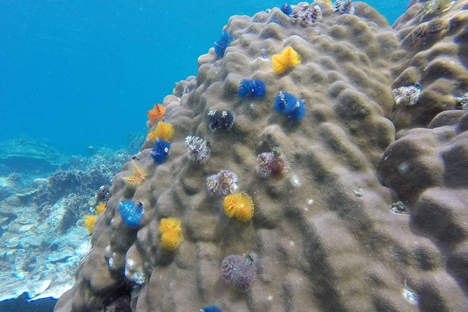 Mr. Tu Day Trip to Angthong Marine Park Review - Meeting Points and Pickup Times