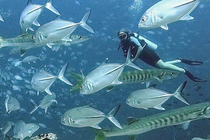 PADI Open Water Diver Course Review on Koh Tao - Instructors and Dive Centers