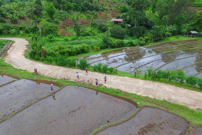 Rural Explorer Mountain Biking Tour Chiang Mai Review - Important Safety Considerations