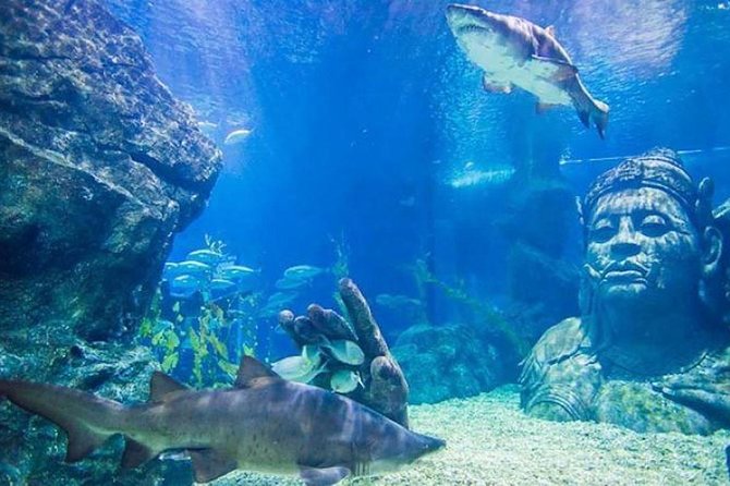 Sealife Bangkok + Madame Tussauds Bangkok - Planning Your Visit