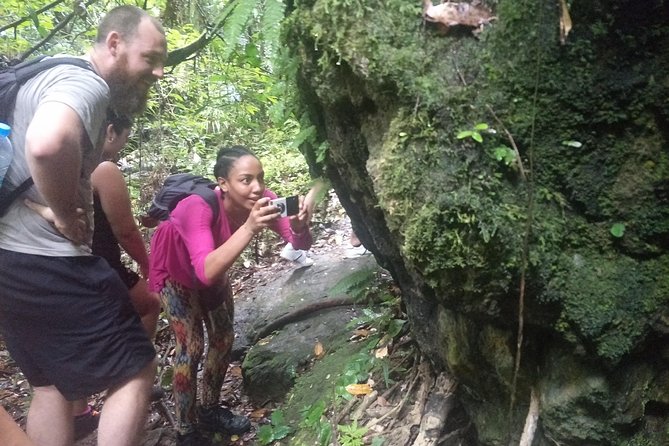 Small-Group Jungle Hiking Excursion Review: Worth the Hike - The Guides Make the Difference