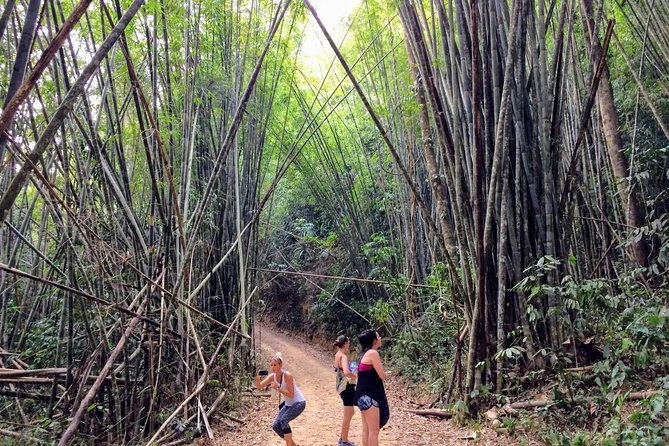 2-Day Khao Sok Jungle Safari From Krabi - Reviews and Ratings Summary