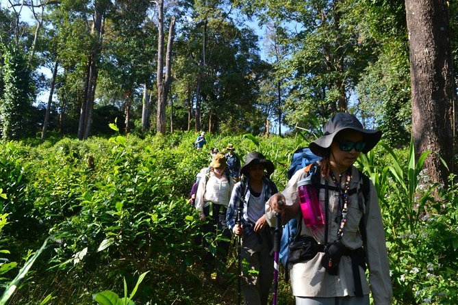 3-Day Chiang Dao Mountain Trek Review - Cancellation and Refund Policy