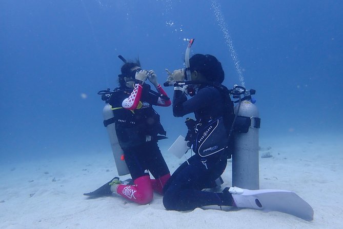 3-Day PADI Open Water Diver Course Review - Value for Money and Pricing