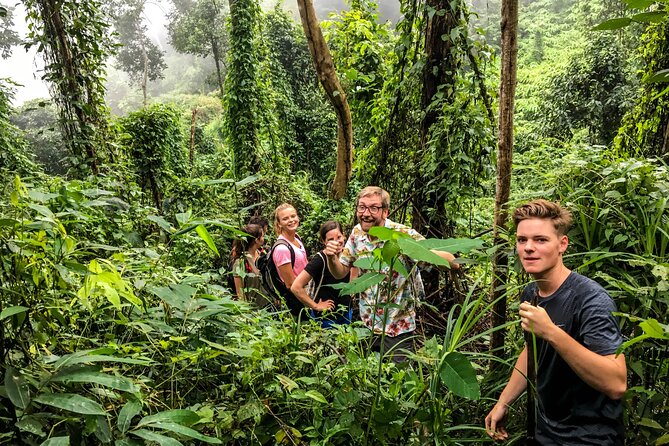6-Hour Doi Pui Summit Hike in Doi Suthep National Park From Chiang Mai - Tour Inclusions and Exclusions