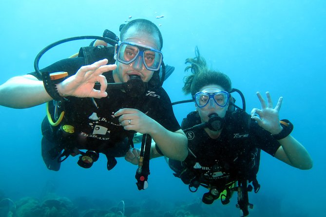 Discover Scuba Diving Review: A Beginner's Experience - Recap