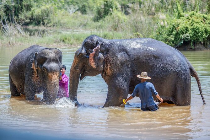 Elephant Sanctuary Small Group Tour in Phuket Review - Tour Logistics and Operations