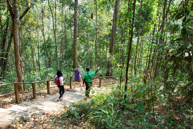 Explore Doi Inthanon National Park: Full Day Tour Review - Reviews and Ratings Analysis