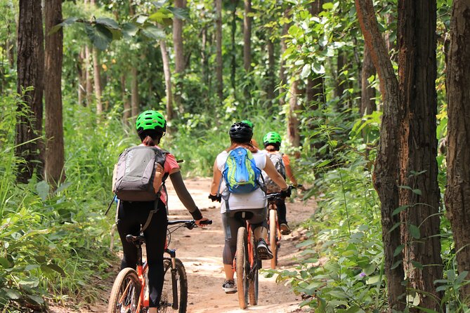 FIELDS OF GOLD Mountain Biking Tour Chiang Mai - Health and Safety Considerations