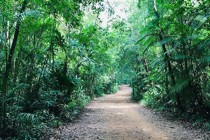 Half Day Jungle Tour to Emerald Pool and Krabi Hot Spring - Reviews and Testimonials