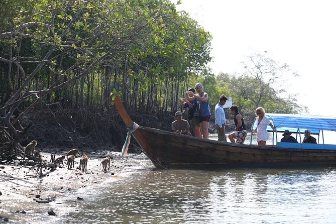 Half Day Mangrove by Kayaking or Longtail Boat From Koh Lanta - Pricing and Booking Information