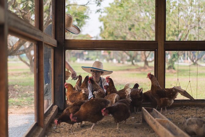 Half Day Thai Cooking Class in Organic Farm Review - Cooking Class Logistics and Schedule