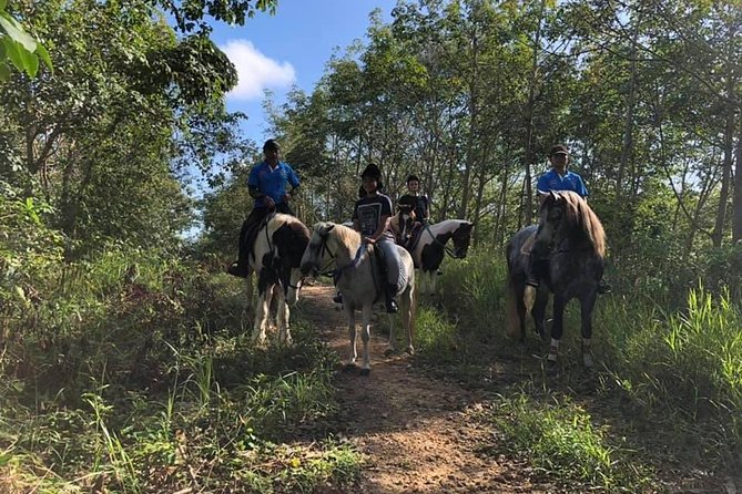 Horseback Riding 1 Hour Trail Review - Planning and Booking Tips