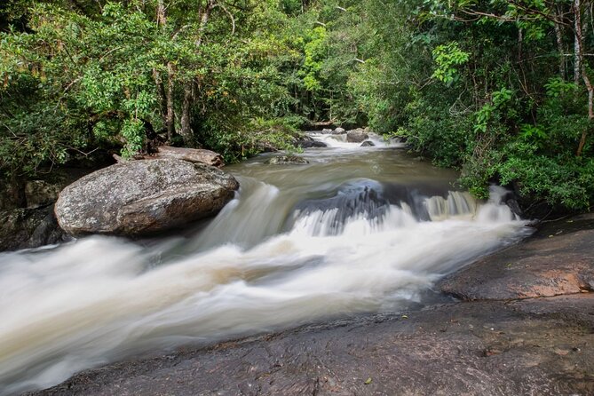 Khao Yai National Park Full-Day Tour Review - Reviewer Feedback and Ratings