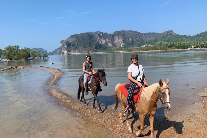 Krabi Horse Riding at Ao Nam Mao Beach Review - Customer Reviews and Ratings