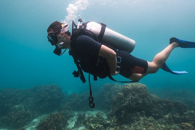 La Bombona Diving Koh Tao Try Dive - Recap