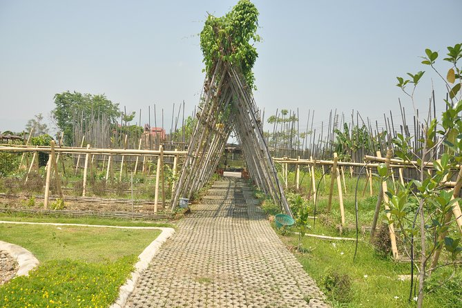 Morning Cooking Class in Organic Farm Review - Is This Cooking Class Worth It