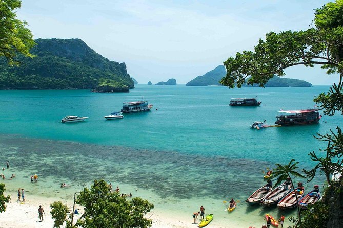 One Day Trip to Angthong Marine Park by Big Boat - Traveler Requirements and Rules