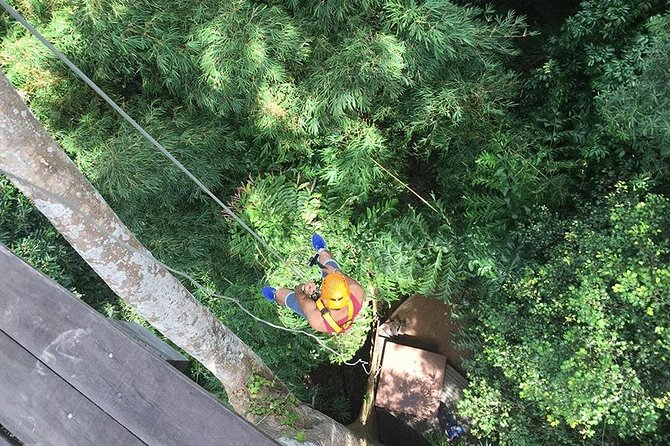 Phuket Zipline Adventure Tour - Reviews and Ratings Overview