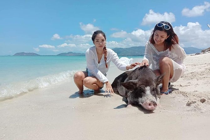 Pig Island Snorkeling Tour Review: Worth the Ride - Important Health and Safety Notes