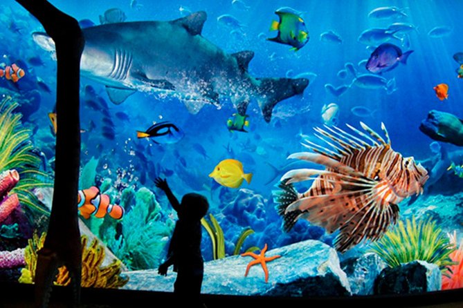 Sea Life Bangkok Ocean World Tickets Review - What to Expect Inside