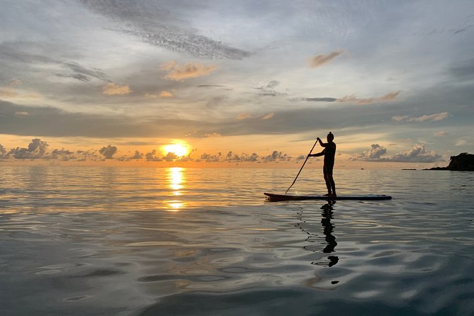 Sunrise Stand Up Paddleboard Tour in Koh Samui Review - Important Tour Notes