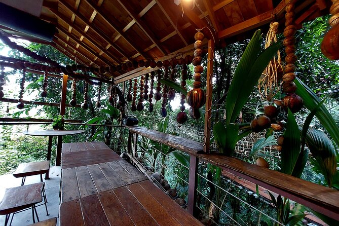 Tree Bridge Cafe Zipline Review: Jungle Flight Adventure - Important Health and Age Restrictions