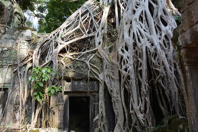 Angkor Wat 2-Day Tour From Bangkok Review - Tips and Reminders for Travelers