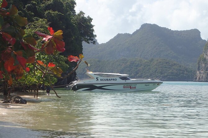 Angthong Marine Park VIP Guided Tour Review - Tour Operator and Credentials