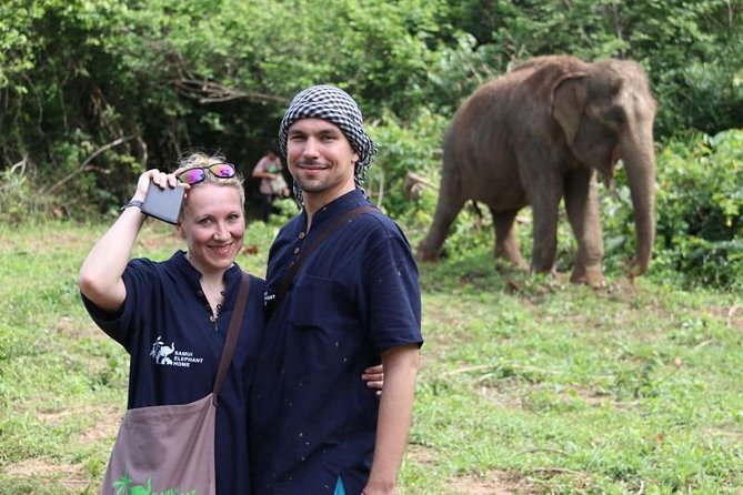 Elephant Nature Care Review: A True Sanctuary Experience - Review Highlights and Ratings