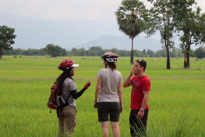 Full Day Cycling Tour to Sukhothai Review - Review and Rating Summary