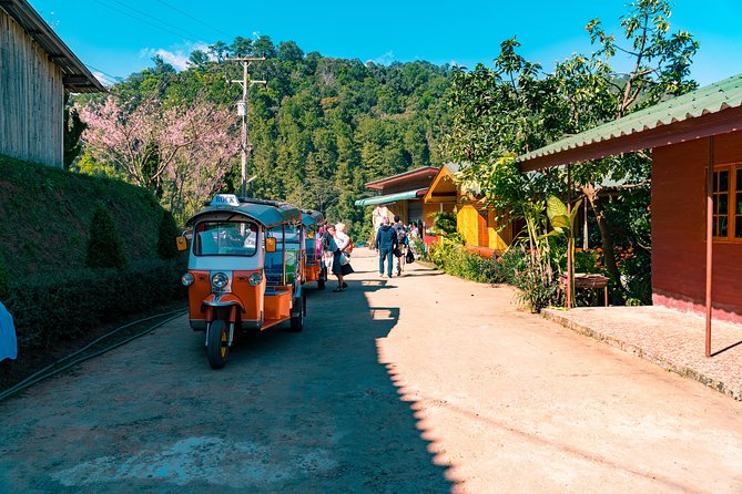 Full-Day Guided Tuk Tuk Chiang Mai Adventure Review - Essential Tips for the Adventure