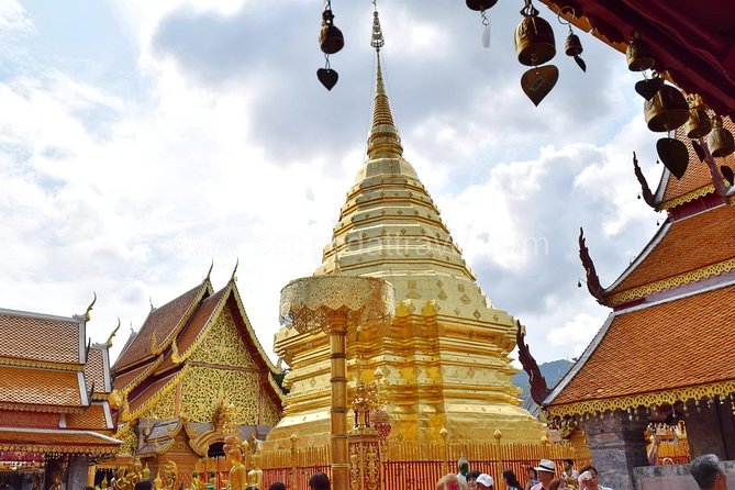 Half Day Doi Suthep Temple and Palad Temple (Private Tour) - Tour Logistics and Safety
