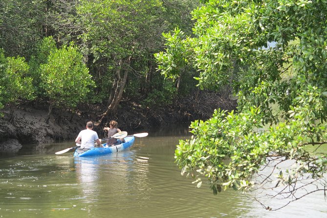 Half Day Mangrove by Kayaking or Longtail Boat From Koh Lanta - What to Bring and Prepare