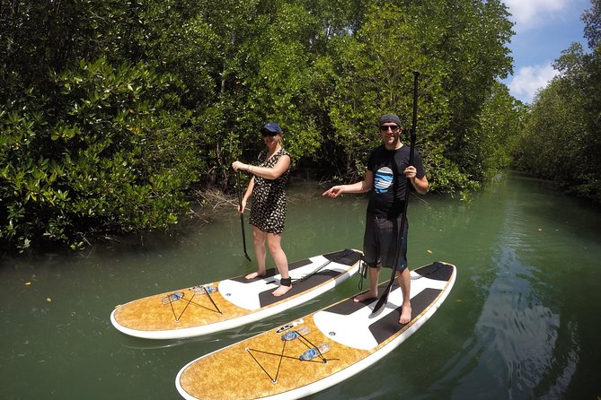 Mangroves SUP Tour Phuket Review: Paddling Through Paradise - Review and Pricing Overview