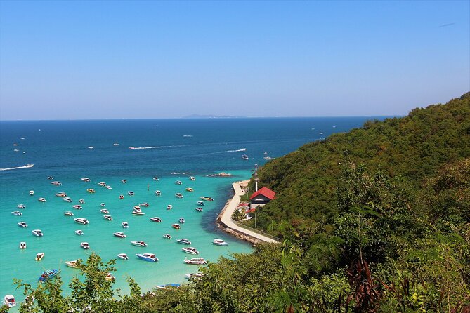 Pattaya Koh Larn Coral Island and Sanctuary of Truth Review - Pricing and Cancellation Policy