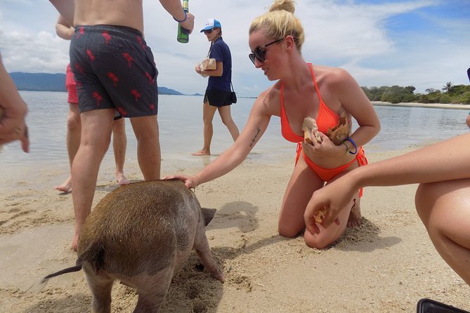 Pig Feeding, Kayaking, Snorkeling Trip at Pig Island By Speedboat From Koh Samui - Preparing for the Speedboat Trip