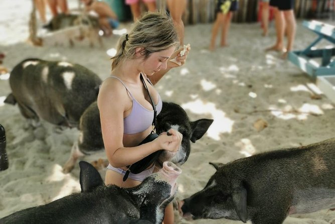 Pig Island Day Trip From Koh Samui Review - Important Reminders and Restrictions