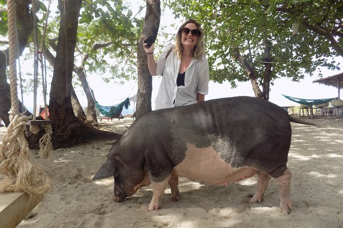 Pig Island Snorkeling Tour Review: Worth the Ride - What to Expect From the Tour