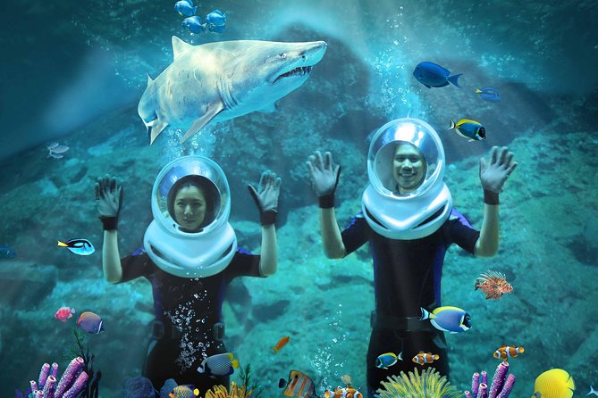 SEA LIFE Bangkok Ocean World & Madame Tussauds Combo Ticket - Recap