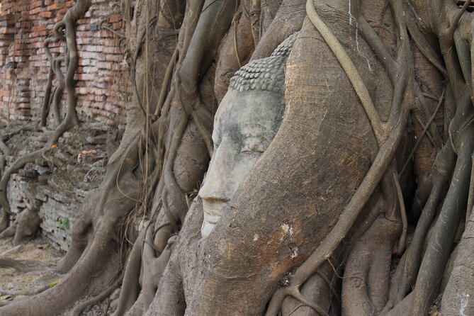 Small Group Tour to Ayutthaya Temples Review - What to Expect on Tour