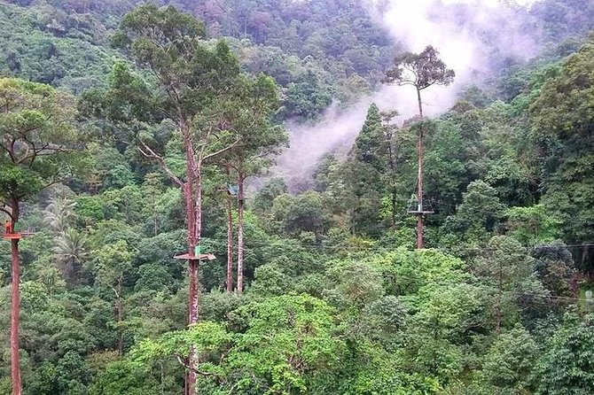 Zip Line Adventure on Mountain (8 Platforms 1200 M.) - Important Health and Safety Notes