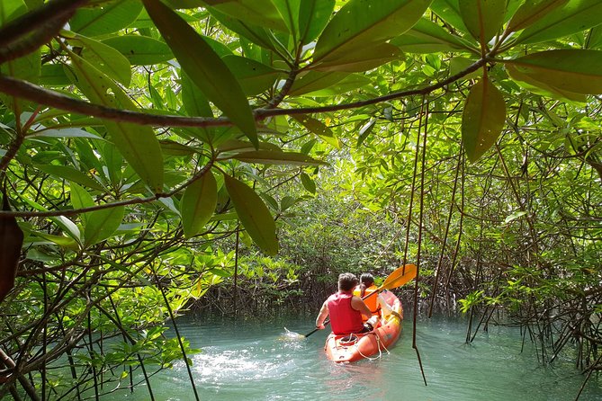 4-Waters Eco-Adventure Trip Review From Phuket - Real Traveler Experiences