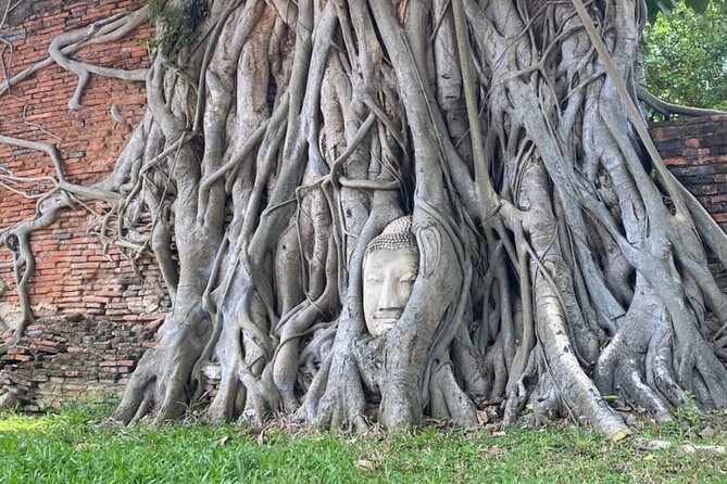 A Day in a Life to Visit Ayutthaya Review - Real Reviews From Fellow Travelers